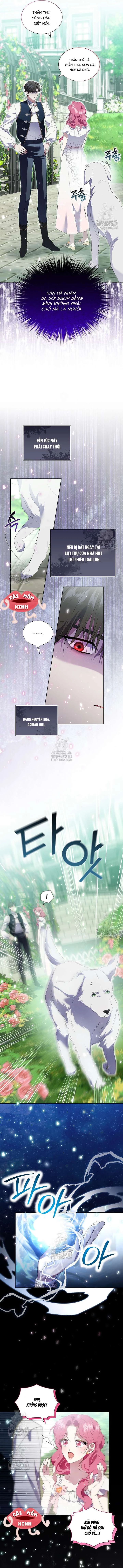 Khi Bị Nam Chính Dịu Dàng Nhưng Cố Chấp Ám Ảnh Chapter 14 - 5