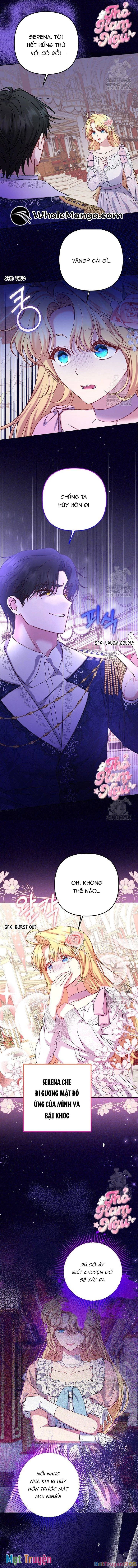 Nàng Vịt Chờ Ngày Hủy Hôn Chapter 8 - 11