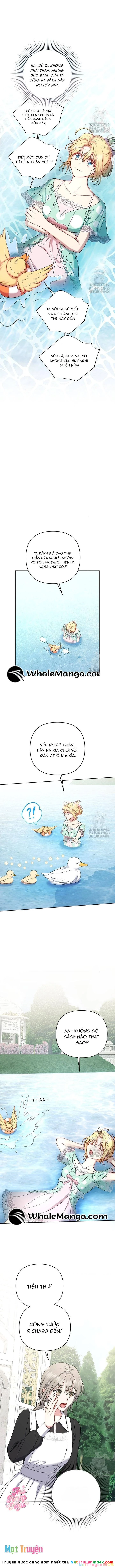 Nàng Vịt Chờ Ngày Hủy Hôn Chapter 11 - 9