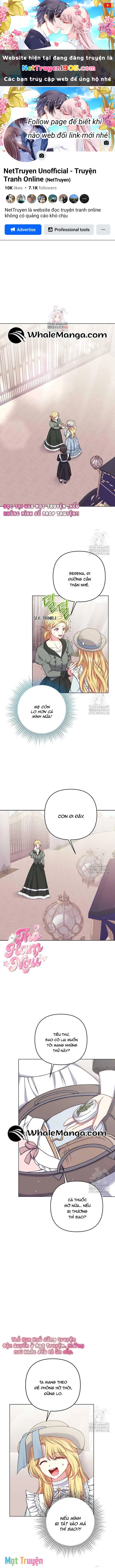 Nàng Vịt Chờ Ngày Hủy Hôn Chapter 12 - 1