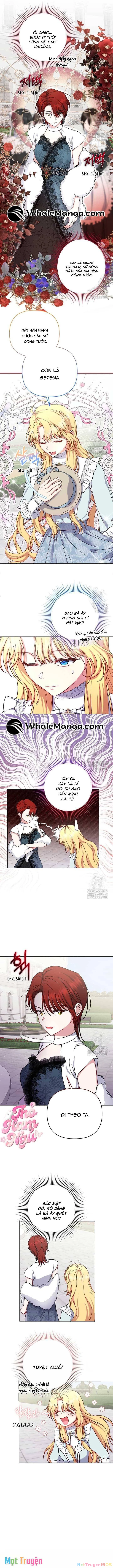 Nàng Vịt Chờ Ngày Hủy Hôn Chapter 12 - 4