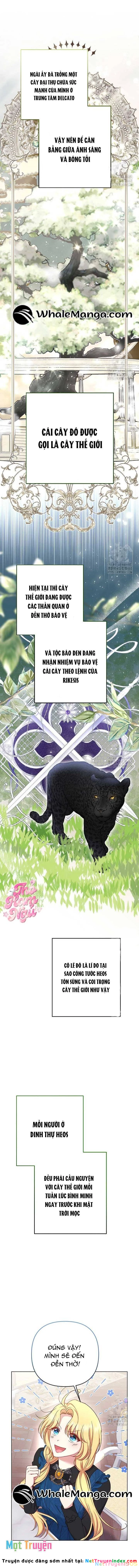 Nàng Vịt Chờ Ngày Hủy Hôn Chapter 13 - 9