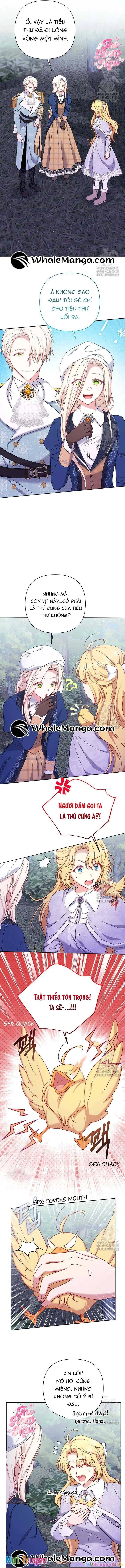 Nàng Vịt Chờ Ngày Hủy Hôn Chapter 14 - 8