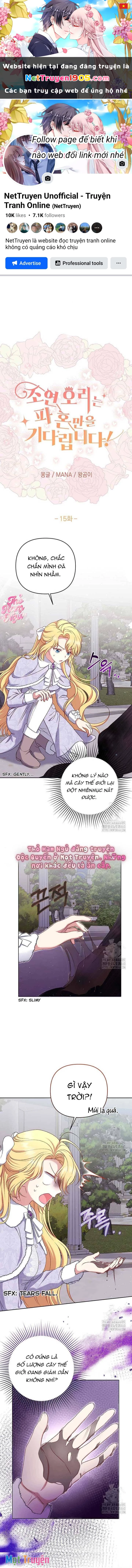 Nàng Vịt Chờ Ngày Hủy Hôn Chapter 15 - 1