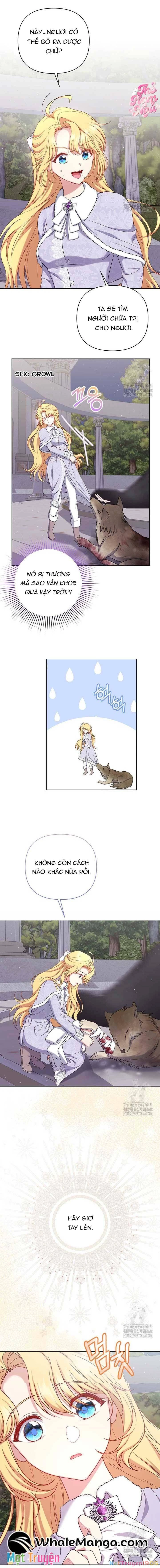 Nàng Vịt Chờ Ngày Hủy Hôn Chapter 15 - 5