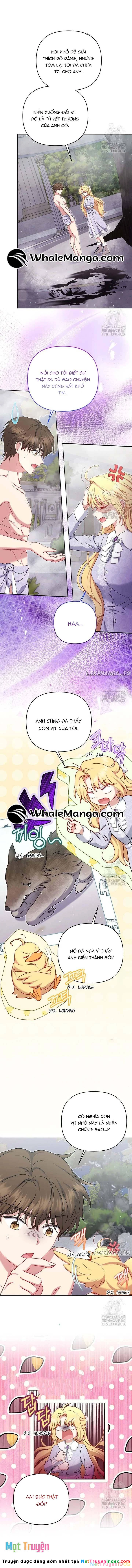 Nàng Vịt Chờ Ngày Hủy Hôn Chapter 16 - 3
