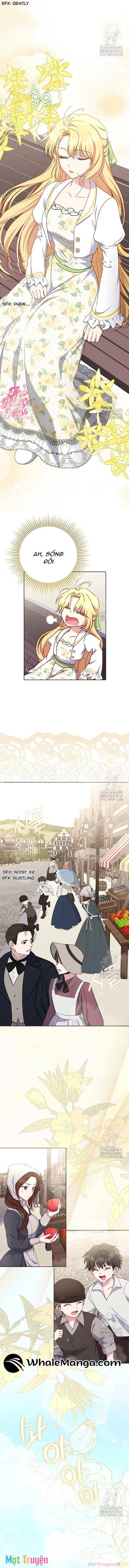 Nàng Vịt Chờ Ngày Hủy Hôn Chapter 19 - 12