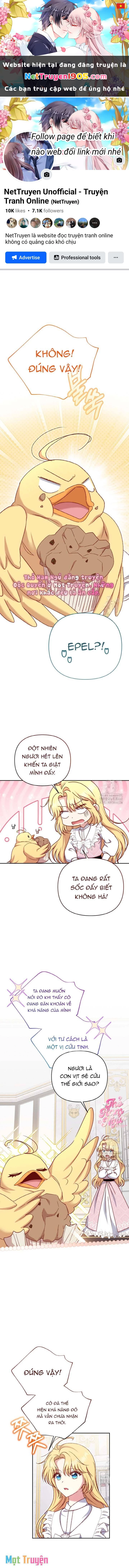 Nàng Vịt Chờ Ngày Hủy Hôn Chapter 22 - 1