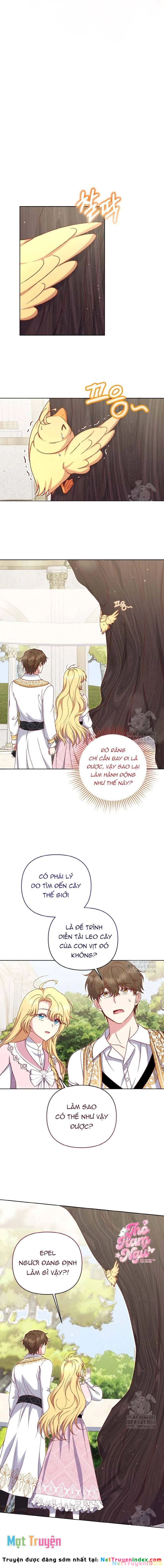 Nàng Vịt Chờ Ngày Hủy Hôn Chapter 22 - 7