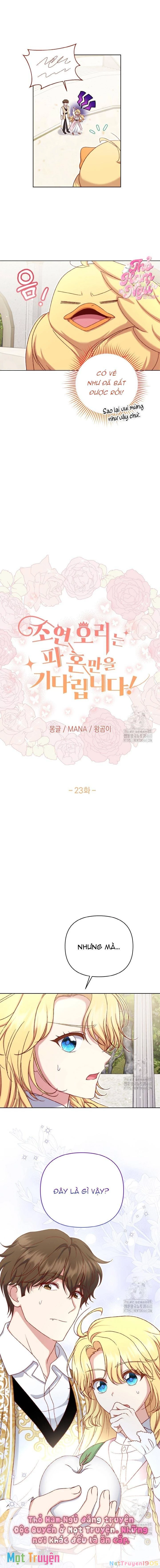 Nàng Vịt Chờ Ngày Hủy Hôn Chapter 23 - 6