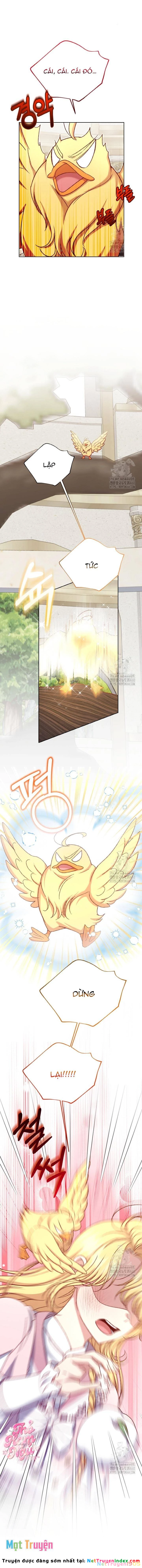 Nàng Vịt Chờ Ngày Hủy Hôn Chapter 23 - 8