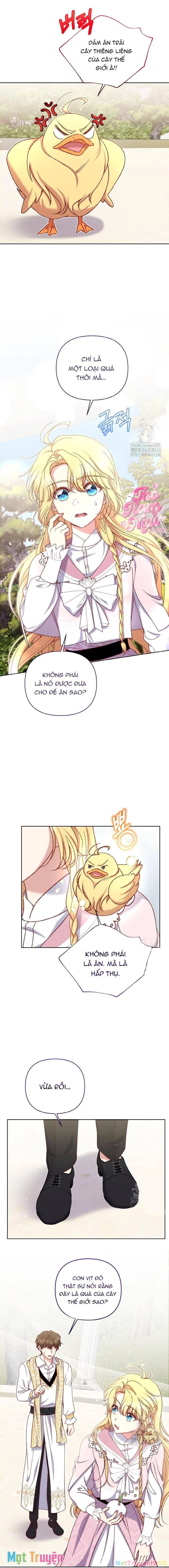 Nàng Vịt Chờ Ngày Hủy Hôn Chapter 23 - 10