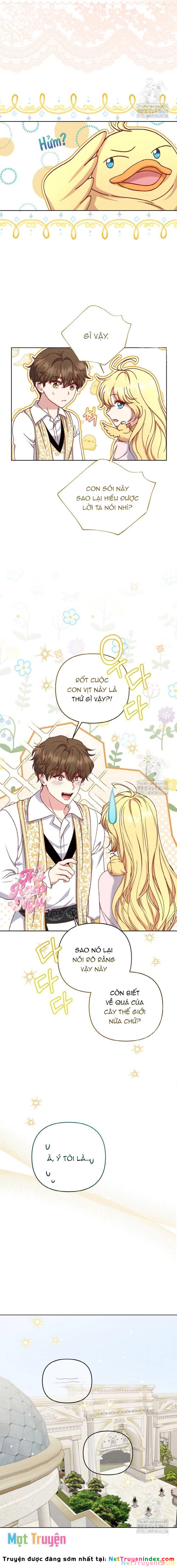 Nàng Vịt Chờ Ngày Hủy Hôn Chapter 23 - 11