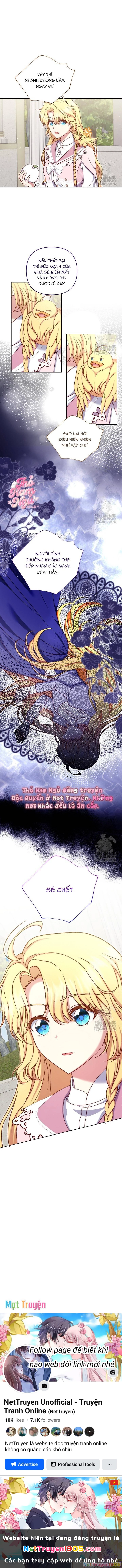 Nàng Vịt Chờ Ngày Hủy Hôn Chapter 23 - 15