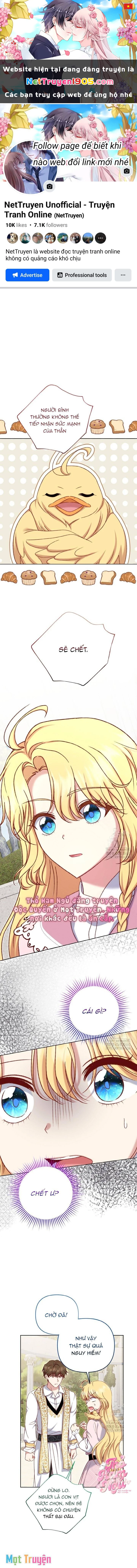 Nàng Vịt Chờ Ngày Hủy Hôn Chapter 24 - 1