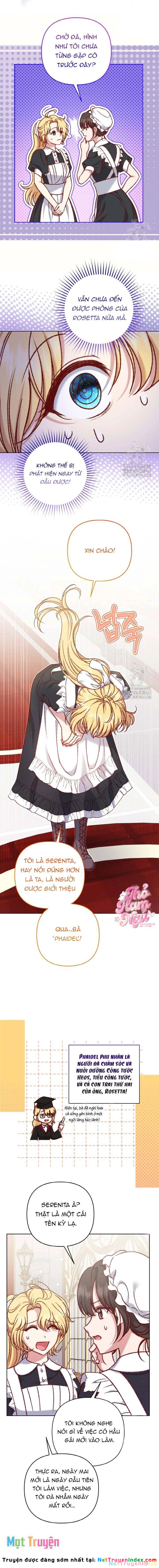 Nàng Vịt Chờ Ngày Hủy Hôn Chapter 32 - 5