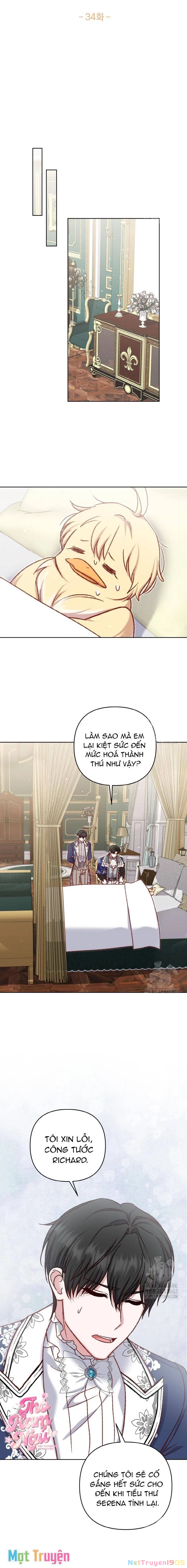 Nàng Vịt Chờ Ngày Hủy Hôn Chapter 34 - 5