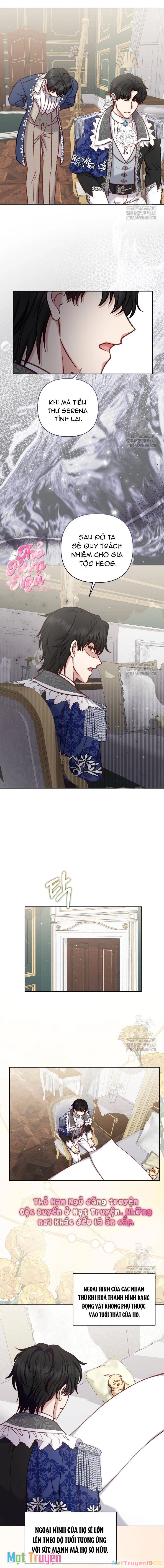 Nàng Vịt Chờ Ngày Hủy Hôn Chapter 34 - 6