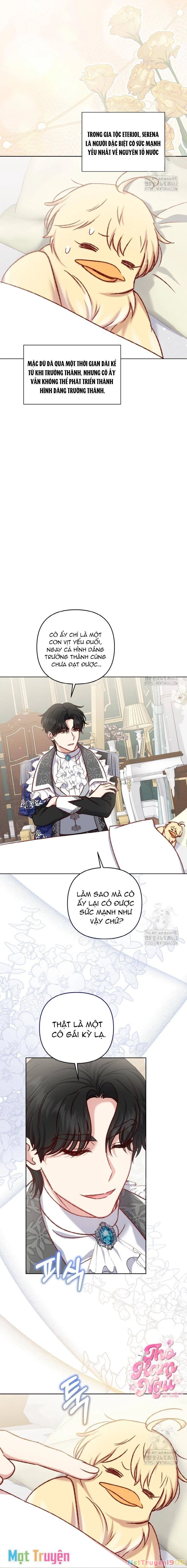 Nàng Vịt Chờ Ngày Hủy Hôn Chapter 34 - 7