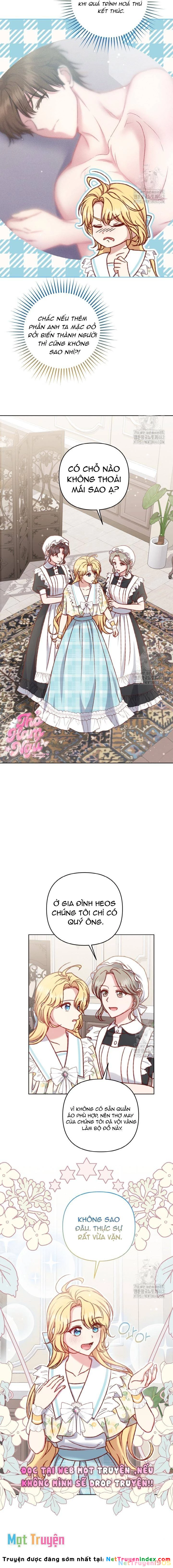 Nàng Vịt Chờ Ngày Hủy Hôn Chapter 34 - 12