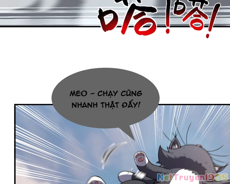 Ngự Thú Tiến Hóa Chapter 4 - 18
