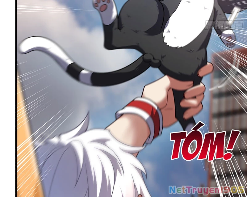 Ngự Thú Tiến Hóa Chapter 4 - 19