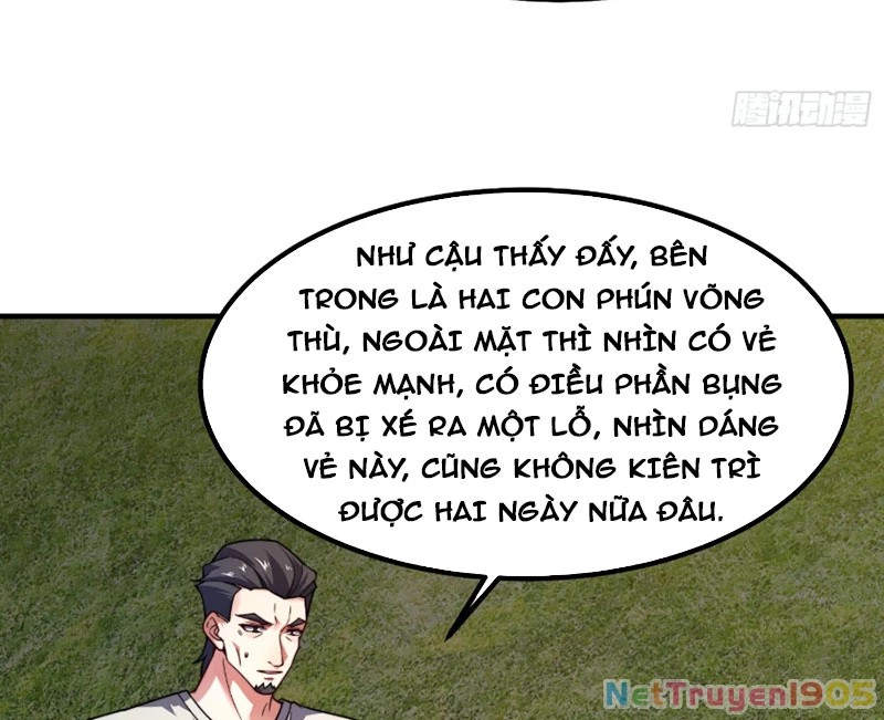 Ngự Thú Tiến Hóa Chapter 4 - 114