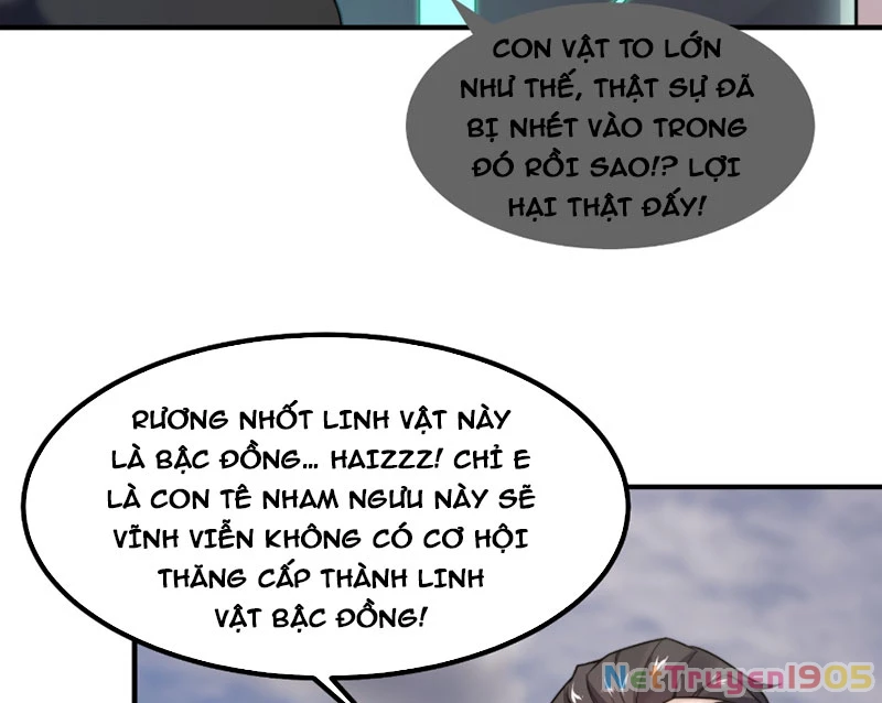 Ngự Thú Tiến Hóa Chapter 5 - 24