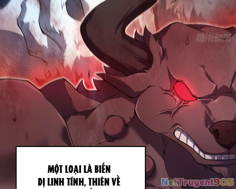 Ngự Thú Tiến Hóa Chapter 1 - 7