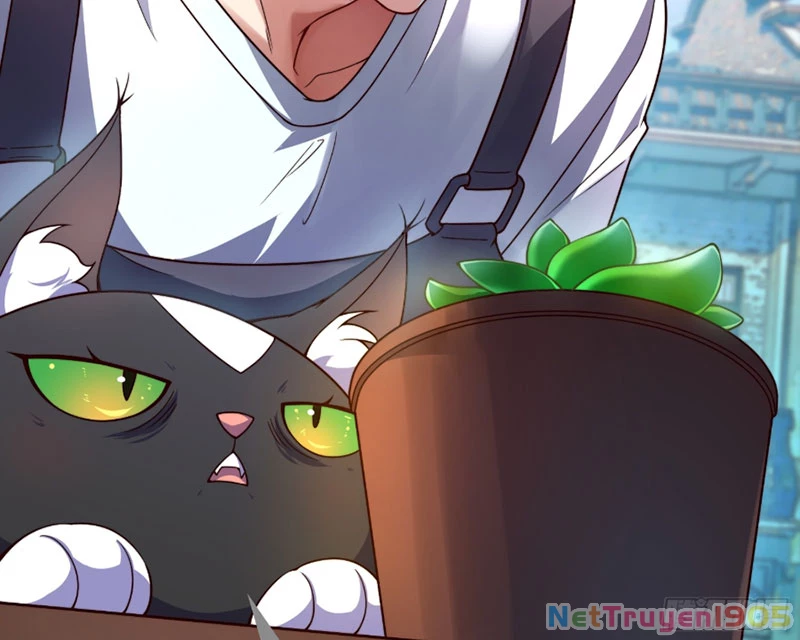 Ngự Thú Tiến Hóa Chapter 1 - 42