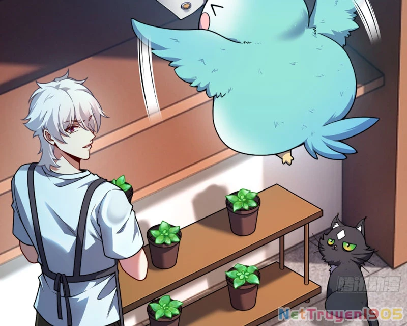 Ngự Thú Tiến Hóa Chapter 1 - 52