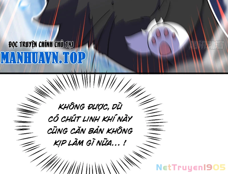 Ngự Thú Tiến Hóa Chapter 1 - 132