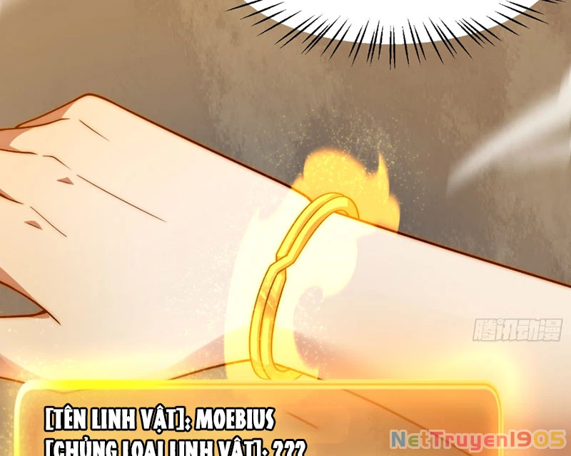 Ngự Thú Tiến Hóa Chapter 2 - 95