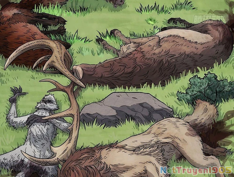 Ngã Dục Phong Thiên Chapter 3 - 48