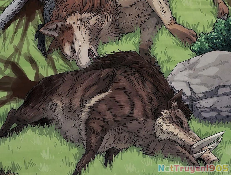 Ngã Dục Phong Thiên Chapter 3 - 49