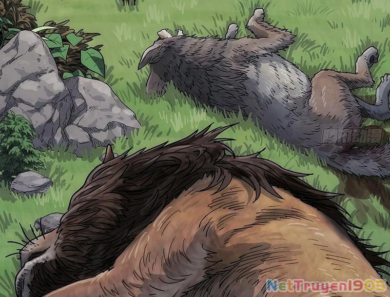 Ngã Dục Phong Thiên Chapter 3 - 50