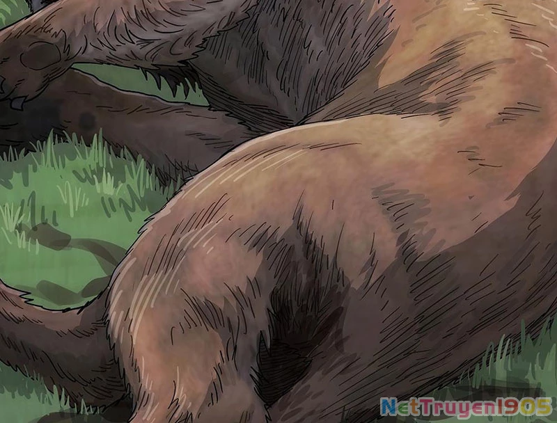 Ngã Dục Phong Thiên Chapter 3 - 51