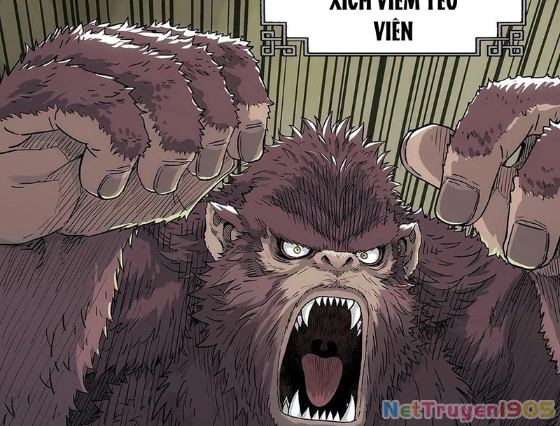 Ngã Dục Phong Thiên Chapter 3 - 63