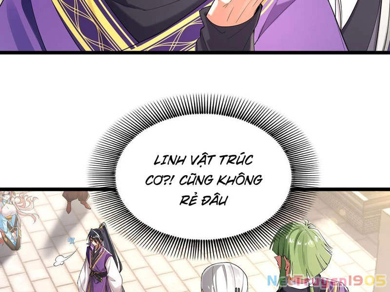 Kim Đan Là Hằng Tinh, Ngươi Gọi Đây Là Tu Tiên À? Chapter 2 - 5