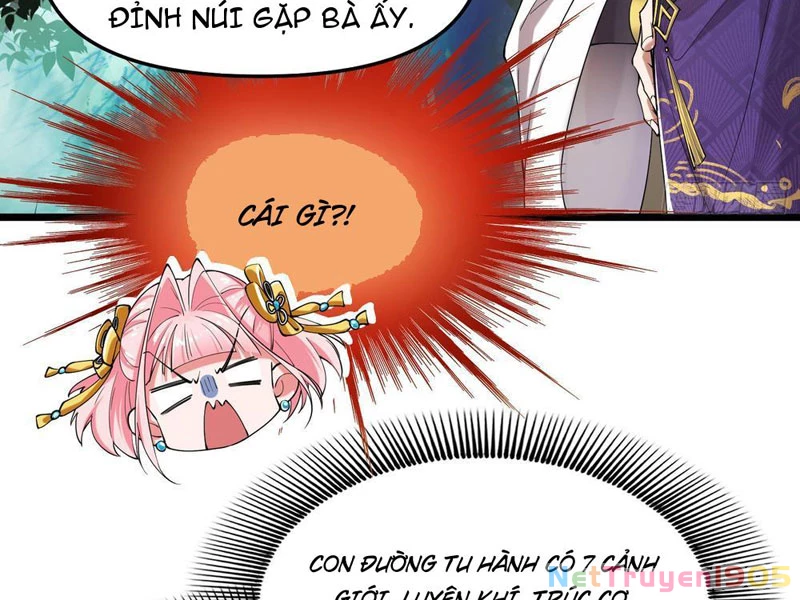 Kim Đan Là Hằng Tinh, Ngươi Gọi Đây Là Tu Tiên À? Chapter 2 - 44