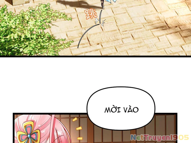 Kim Đan Là Hằng Tinh, Ngươi Gọi Đây Là Tu Tiên À? Chapter 3 - 6