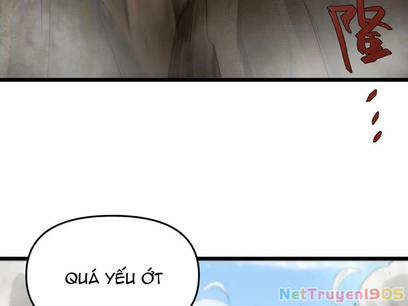 Kim Đan Là Hằng Tinh, Ngươi Gọi Đây Là Tu Tiên À? Chapter 3 - 110