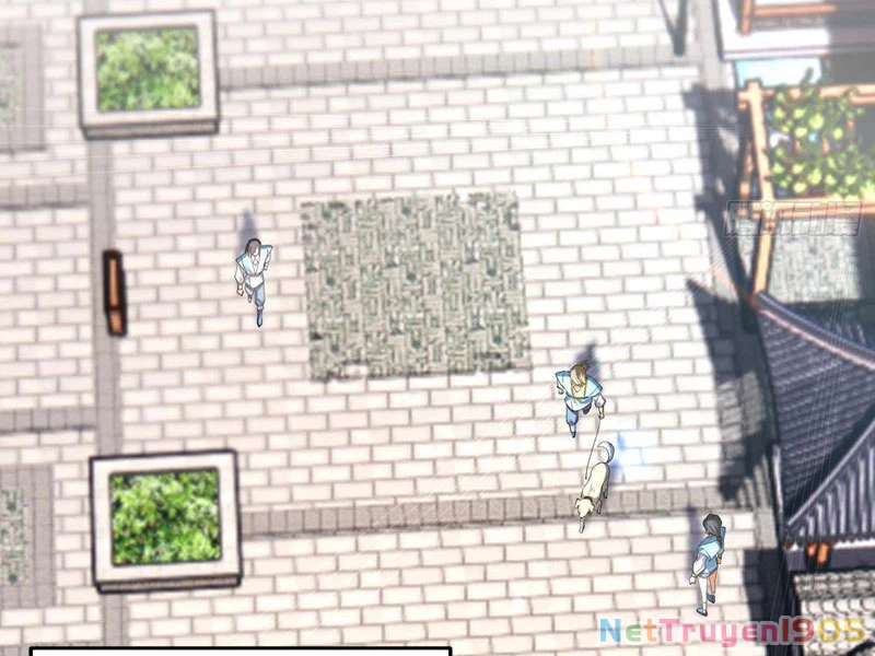 Kim Đan Là Hằng Tinh, Ngươi Gọi Đây Là Tu Tiên À? Chapter 4 - 20