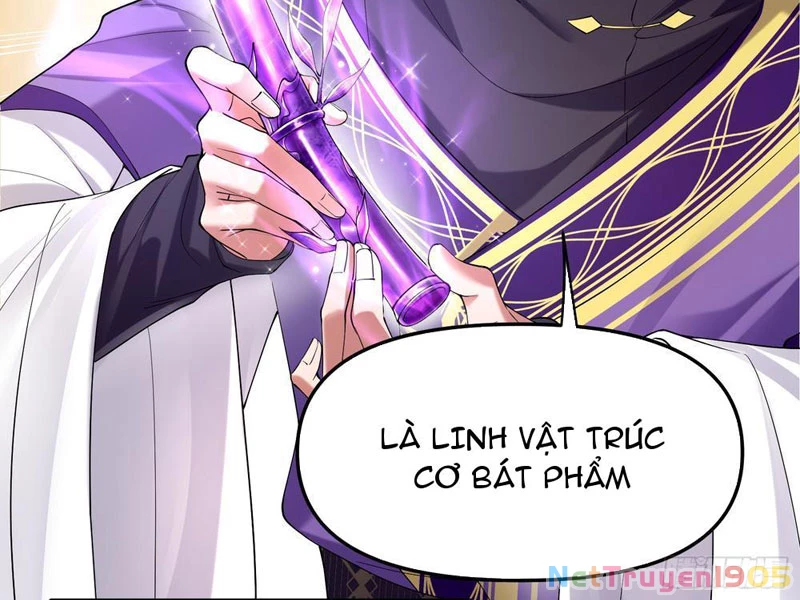 Kim Đan Là Hằng Tinh, Ngươi Gọi Đây Là Tu Tiên À? Chapter 4 - 53