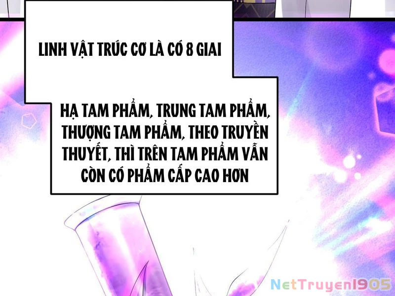Kim Đan Là Hằng Tinh, Ngươi Gọi Đây Là Tu Tiên À? Chapter 4 - 54