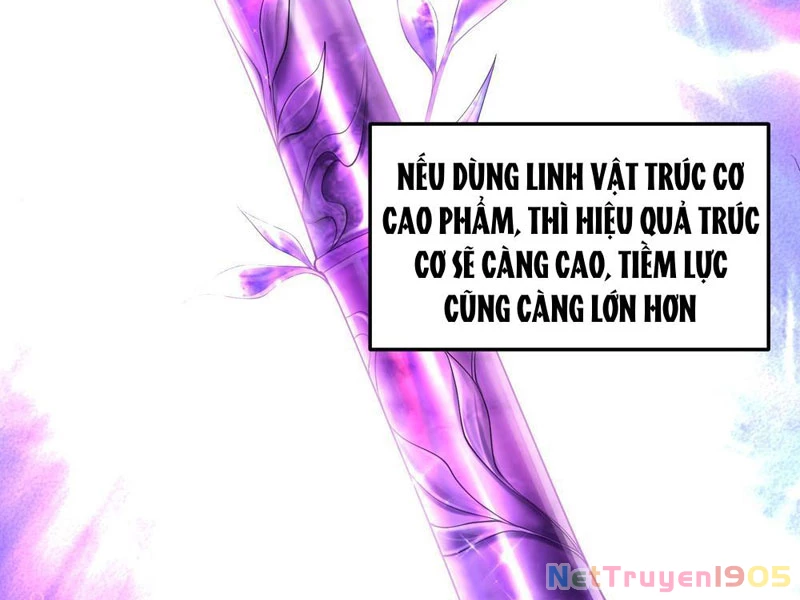 Kim Đan Là Hằng Tinh, Ngươi Gọi Đây Là Tu Tiên À? Chapter 4 - 55