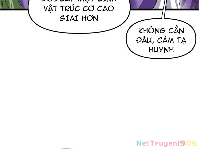 Kim Đan Là Hằng Tinh, Ngươi Gọi Đây Là Tu Tiên À? Chapter 4 - 59