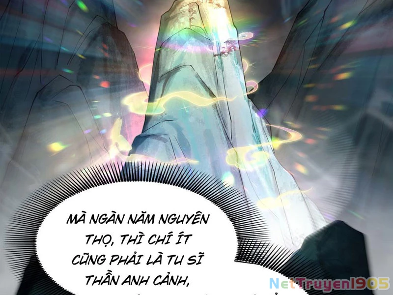 Kim Đan Là Hằng Tinh, Ngươi Gọi Đây Là Tu Tiên À? Chapter 4 - 65