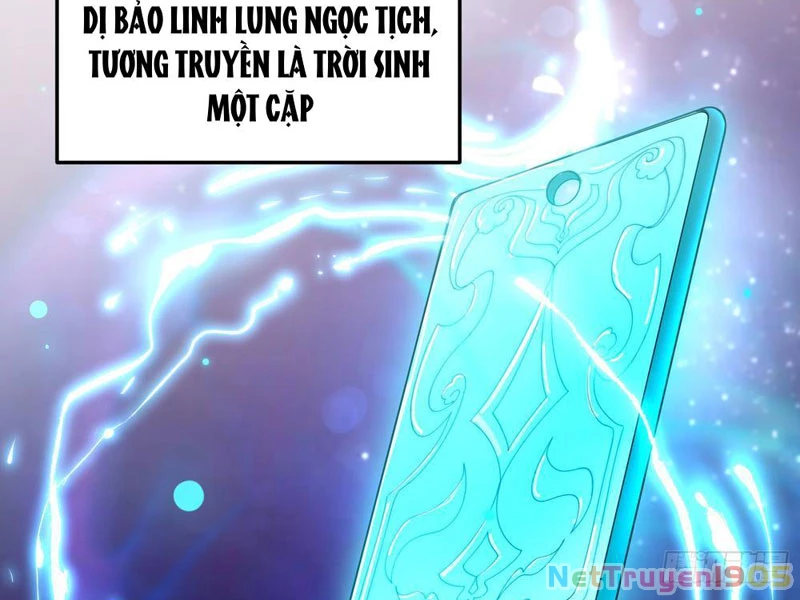 Kim Đan Là Hằng Tinh, Ngươi Gọi Đây Là Tu Tiên À? Chapter 5 - 40