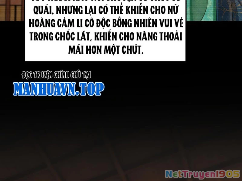 Kim Đan Là Hằng Tinh, Ngươi Gọi Đây Là Tu Tiên À? Chapter 5 - 48